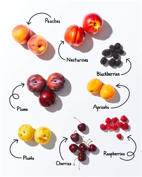 what fruits are similar to peaches